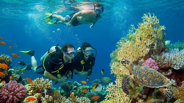 Diving & Snorkeling
