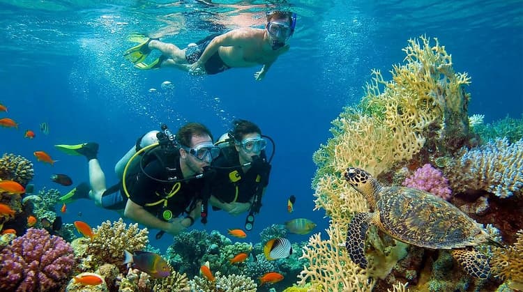 Diving & Snorkeling