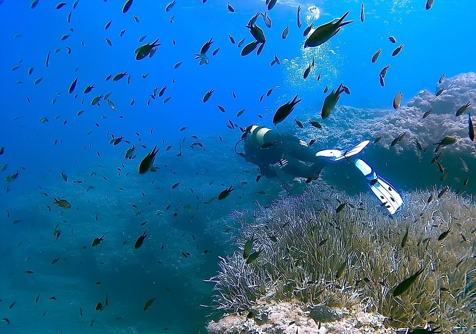 Discover Scuba Diving in Menorca