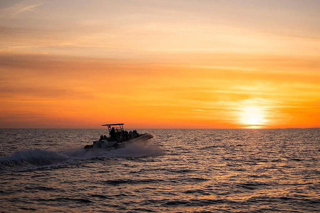 Alcudia Fast Boat Tours for Dolphins and Sunset