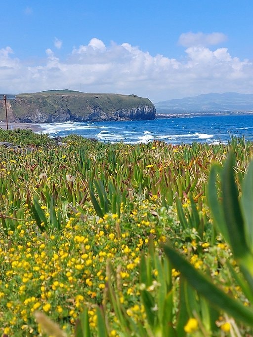 Half-Day Jeep Tour Across Lagoa do Fogo