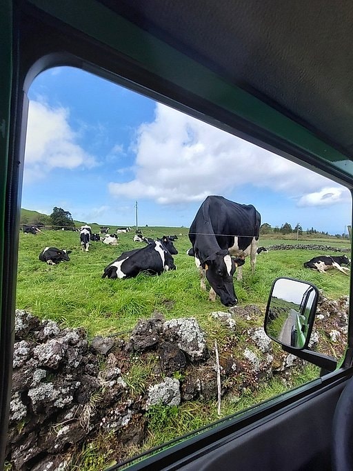 Half-Day Jeep Tour Across Lagoa do Fogo