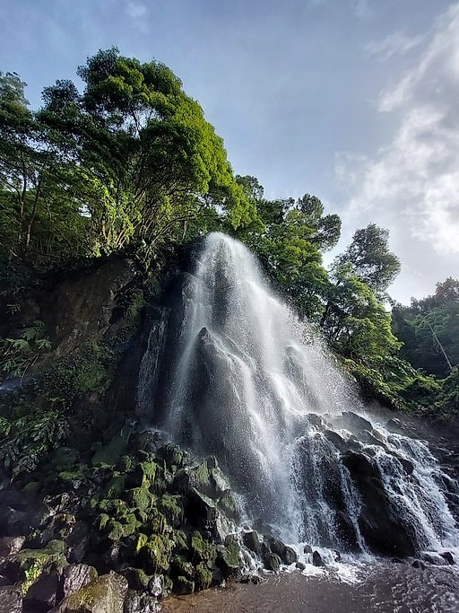 A tall waterfall cascades down a mossy cliff framed by lush green forest canopy