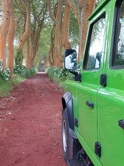 Close-up of a green 4x4 vehicle on a red dirt lane lined with tall trees and hydrangeas