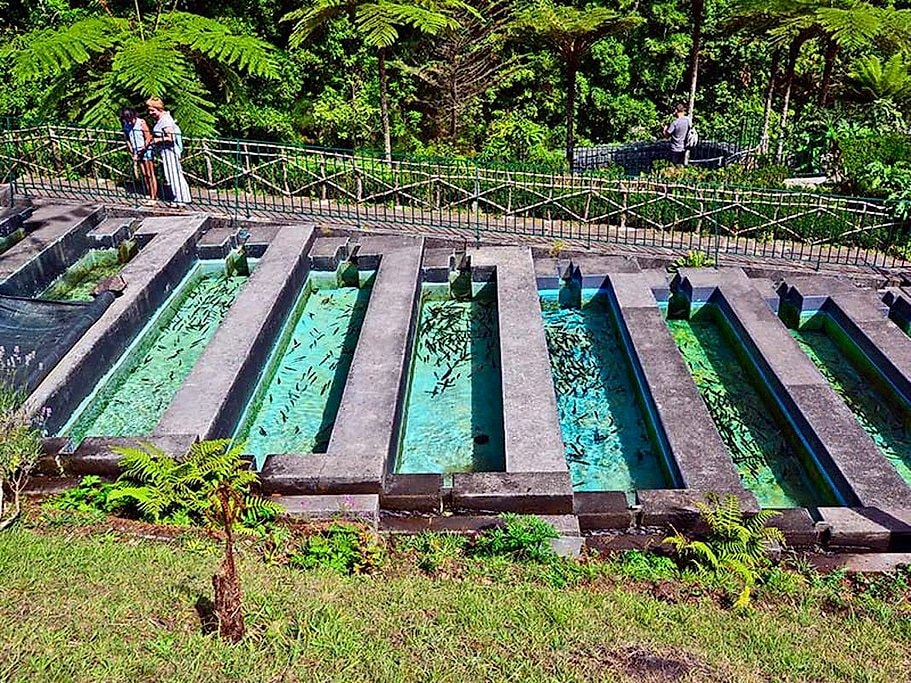 East of Madeira Island Full Day Tour