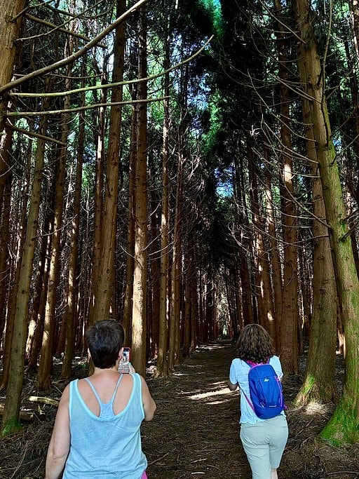 Full Day Azores Off-Road Jeep Safari Adventure