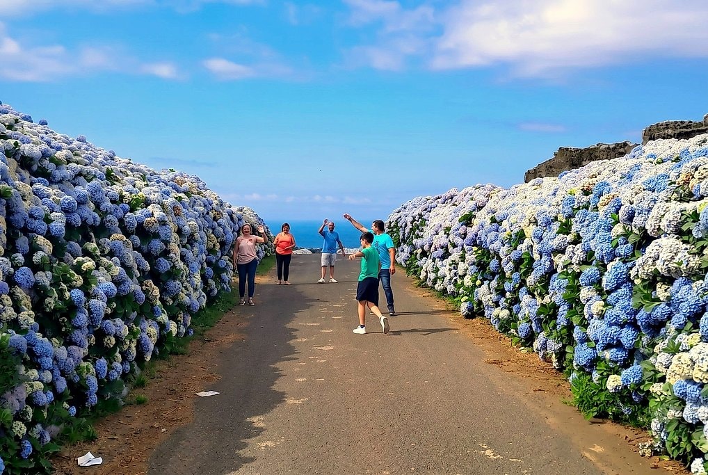 Azores Farm Tour With Traditional Lunch