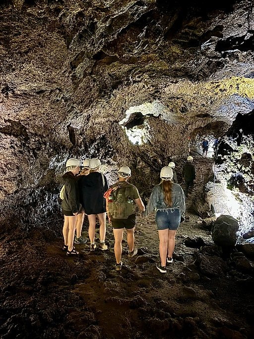 Terceira Island Whale Watching and Jeep Tour