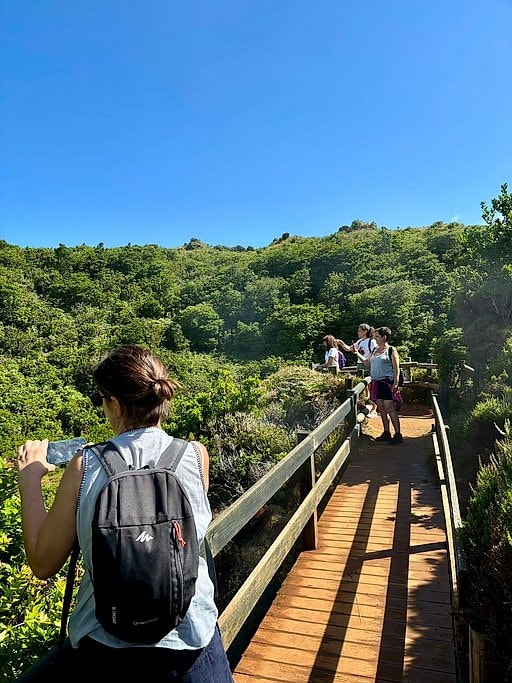 Terceira Island Whale Watching and Jeep Tour