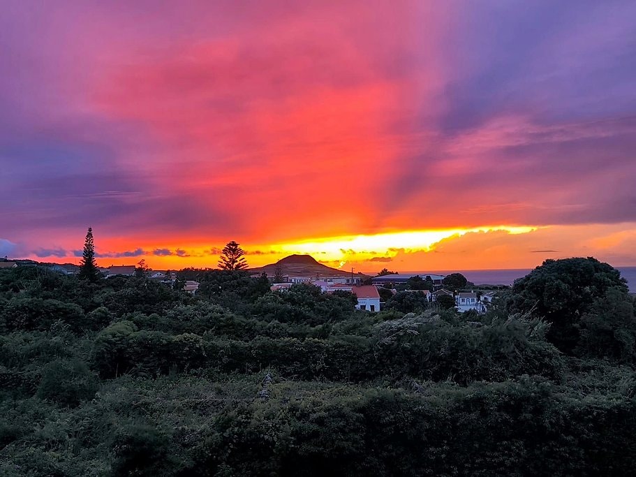 Terceira Island Whale Watching and Jeep Tour