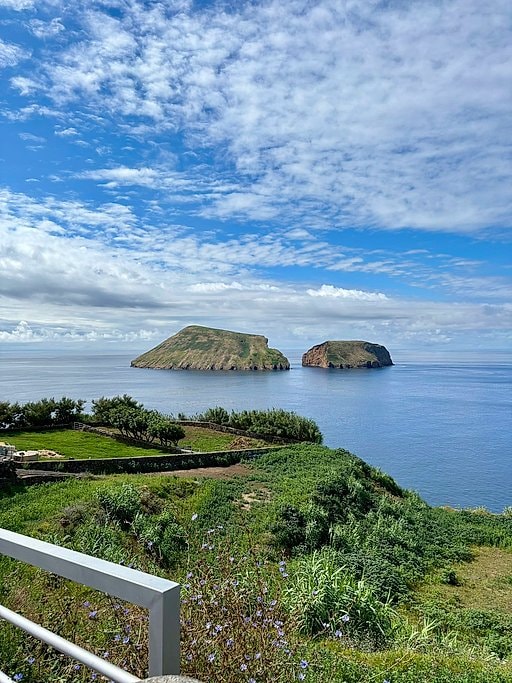 Terceira Island Whale Watching and Jeep Tour