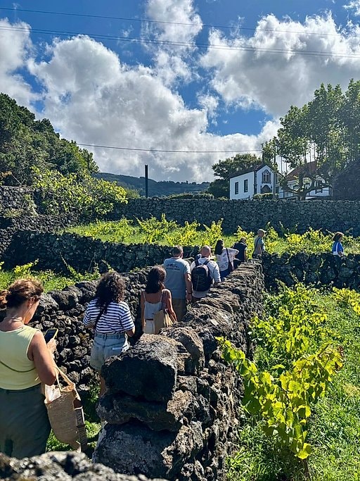 Terceira Island Whale Watching and Jeep Tour