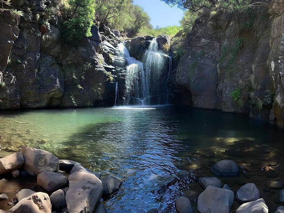Levada do Alecrim Madeira Full-Day Guided Hike