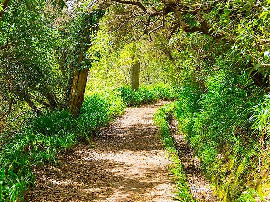 Paradise Valley Walk in Madeira