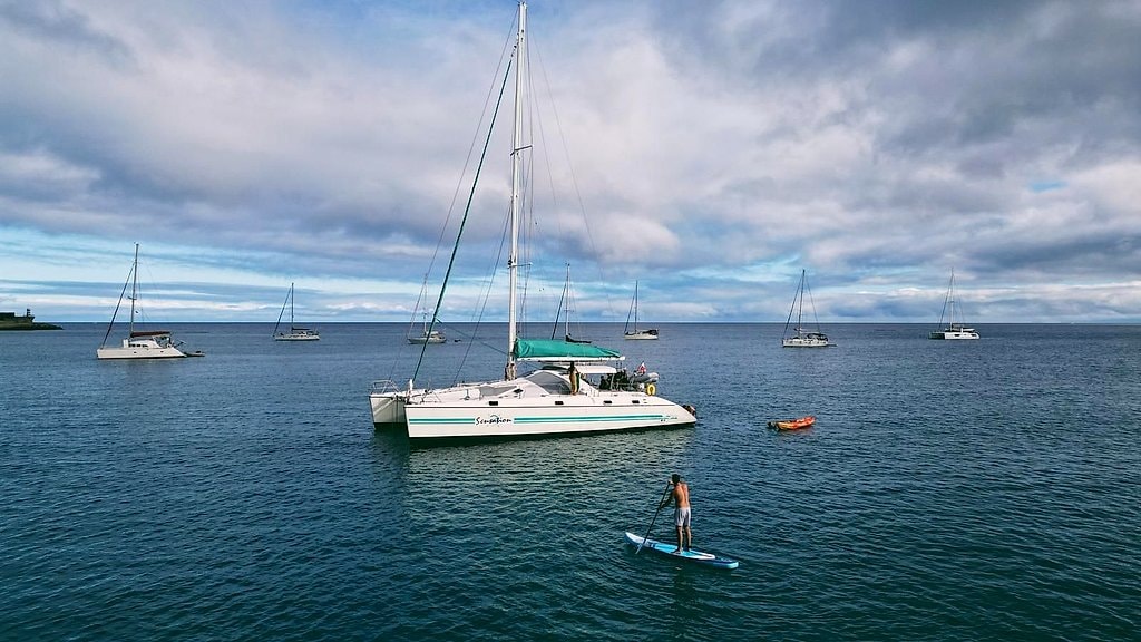 Private Half-Day Catamaran in Ponta de São Lourenço