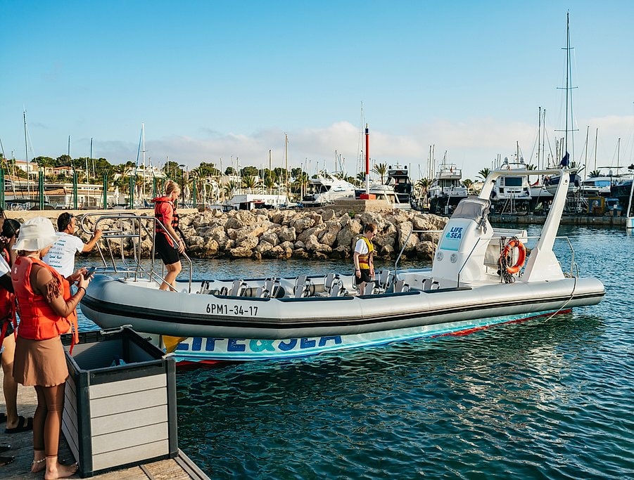 Speed Boat Adventure in Mallorca
