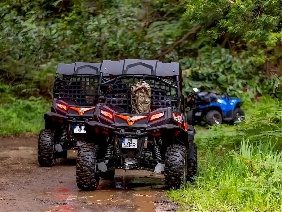 Madeira Off-Road Buggy Drive Through Laurissilva Forest