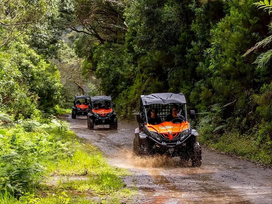 Madeira Off-Road Buggy Drive Through Laurissilva Forest