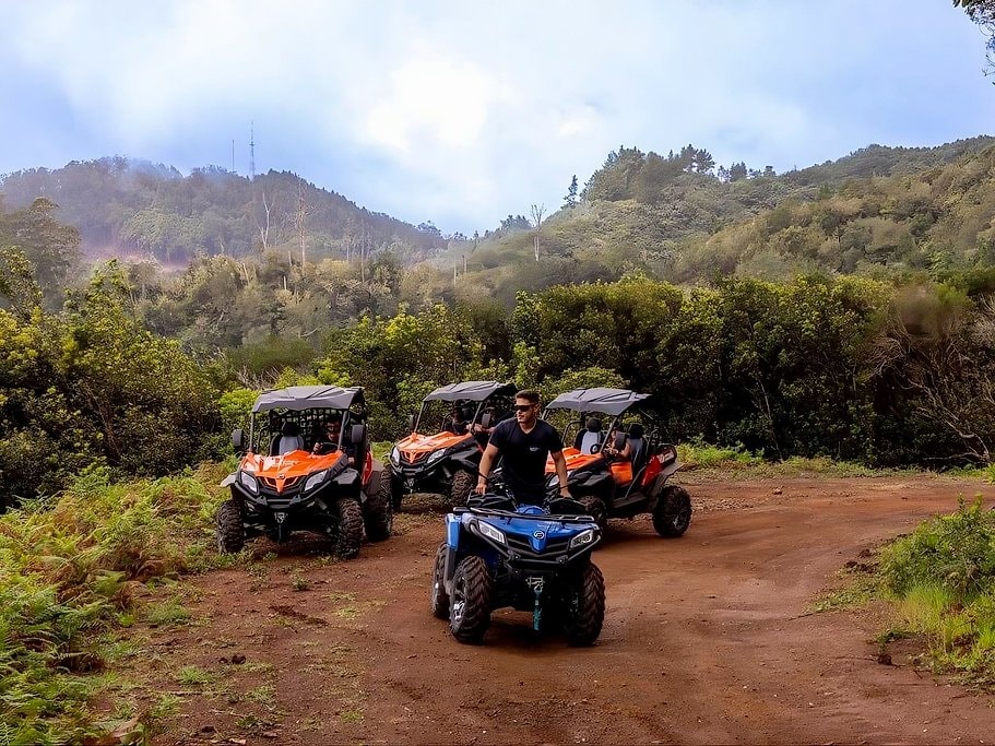 Madeira Off-Road Buggy Drive Through Laurissilva Forest