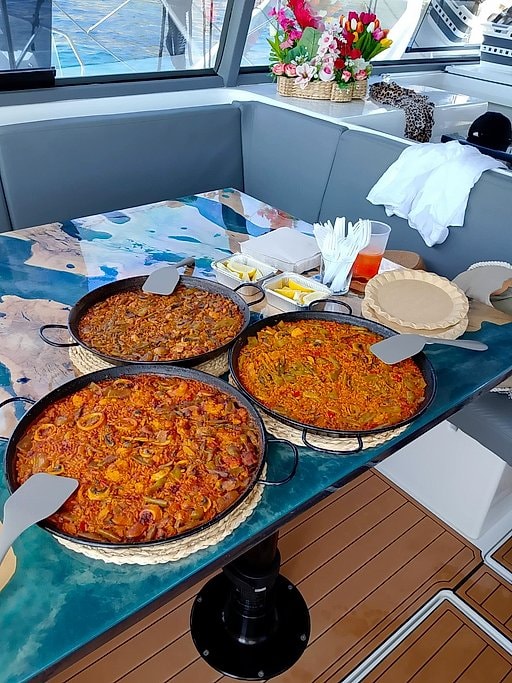 Private Solar Catamaran Charter in Palma de Mallorca