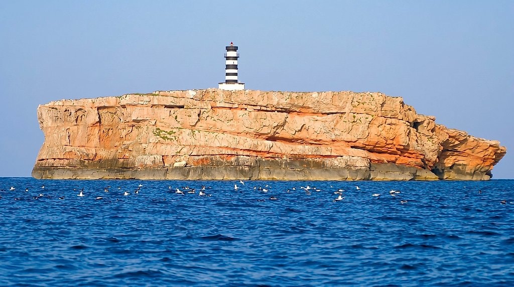 Cabrera Fast Tour from Colonia de Sant Jordi