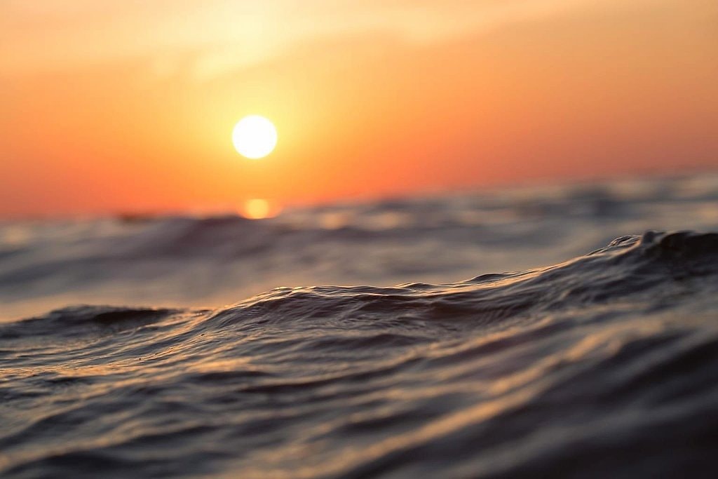 Sunrise Dolphin Watching Boat Tour in Mallorca