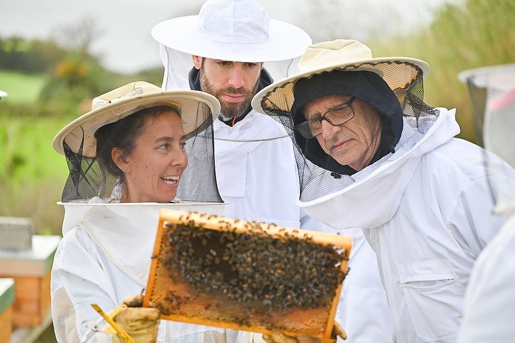 Bee Farm Visit and Honey Tasting in Lagoa
