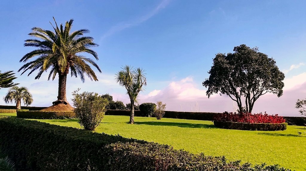 Landscaped garden with tall palm trees and a red flowering hedge near a Nordeste viewpoint