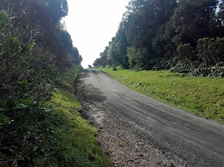 A quiet dirt track through dense forest along the caldera rim walking trail
