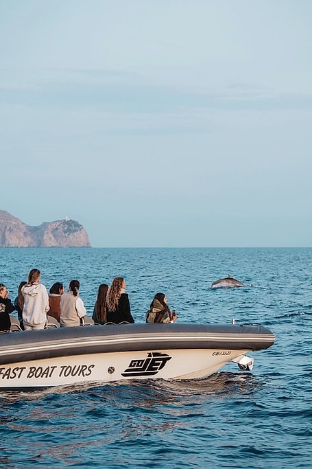 Alcudia Fast Boat Tours for Dolphins and Sunset