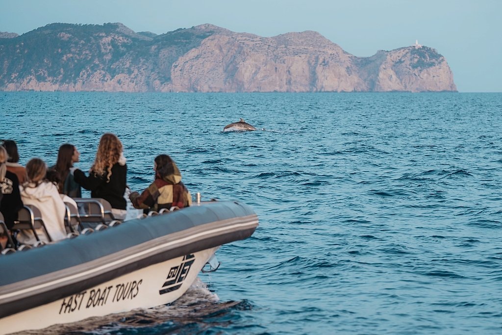 Alcudia Fast Boat Tours for Dolphins and Sunset