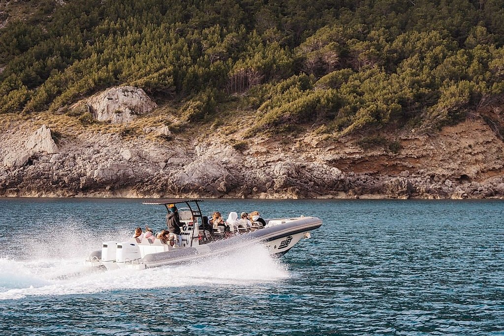 Alcudia Fast Boat Tours for Dolphins and Sunset