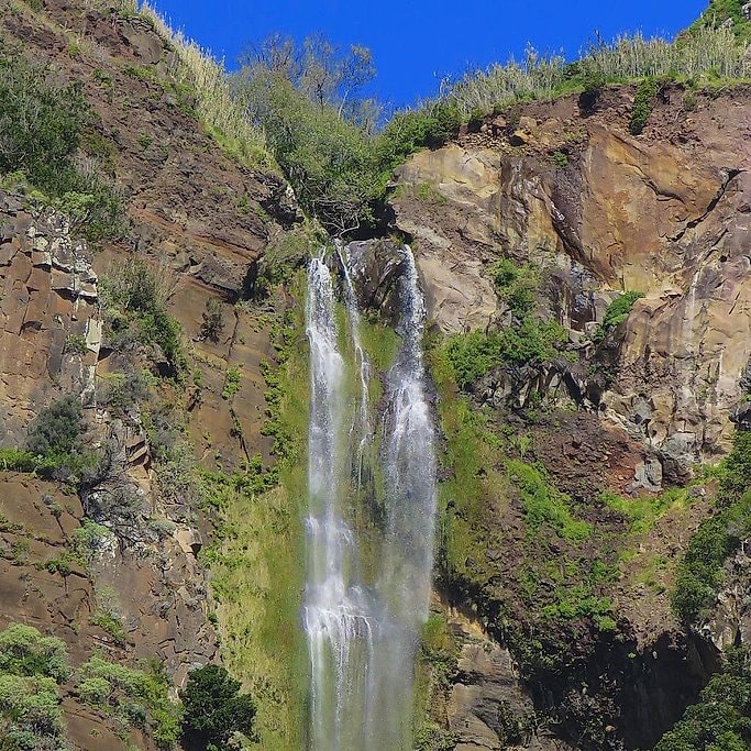 A narrow waterfall dropping through a green, rocky gorge on Madeira's southwest coast.