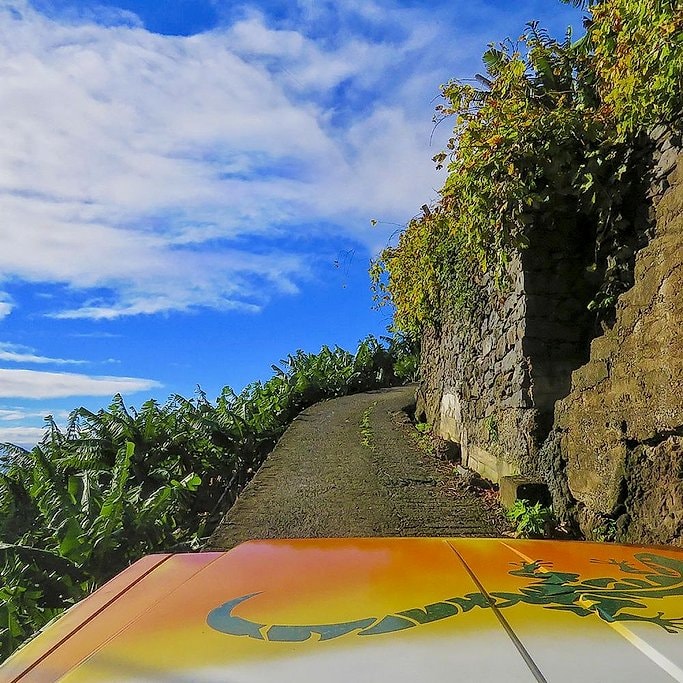 Open-top jeep driving down a narrow lane lined with banana plants, Madeira.