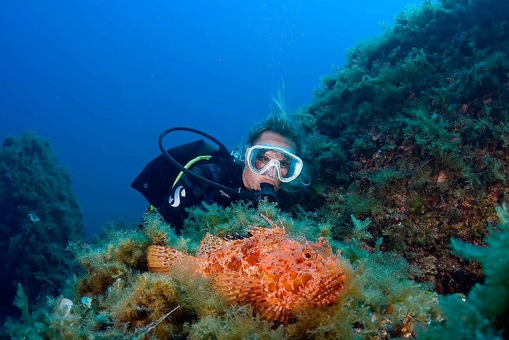 Southwest Mallorca Diving with Certified and Beginner Options
