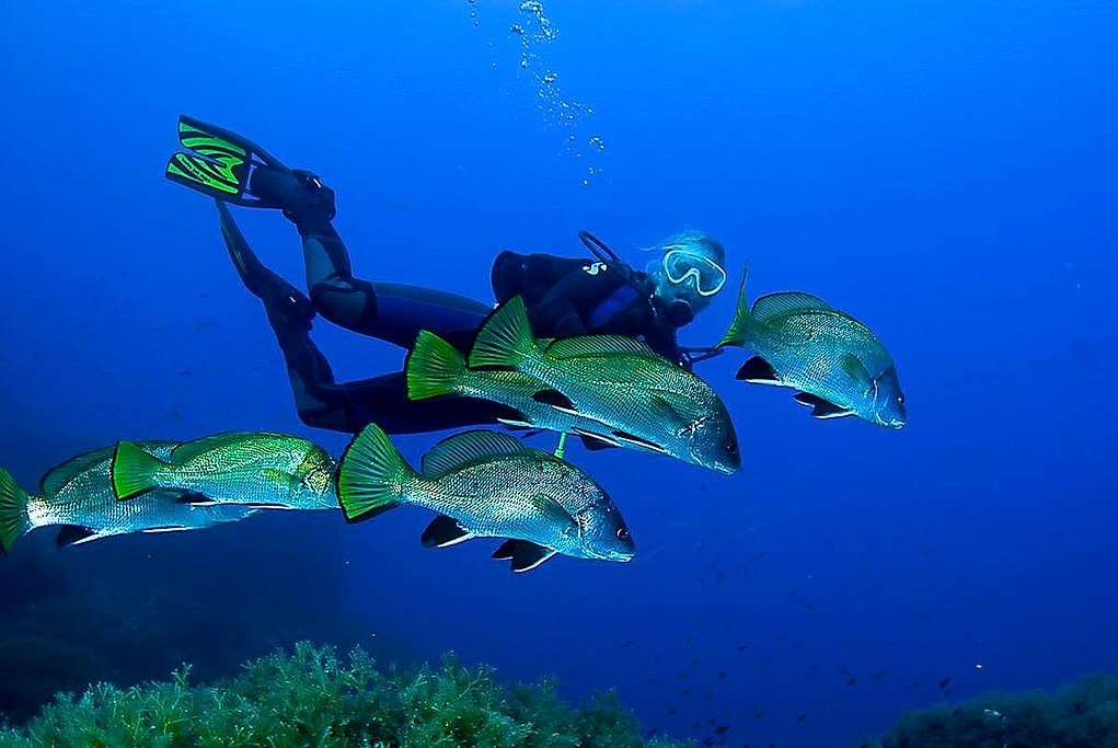 Southwest Mallorca Diving with Certified and Beginner Options