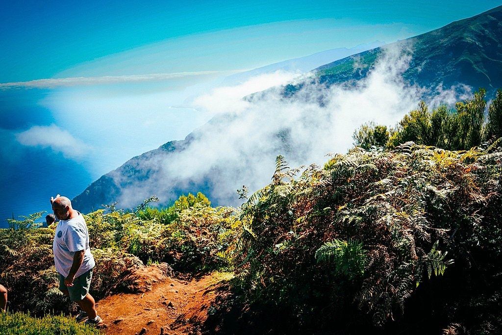 Madeira Half Day Central Jeep Safari