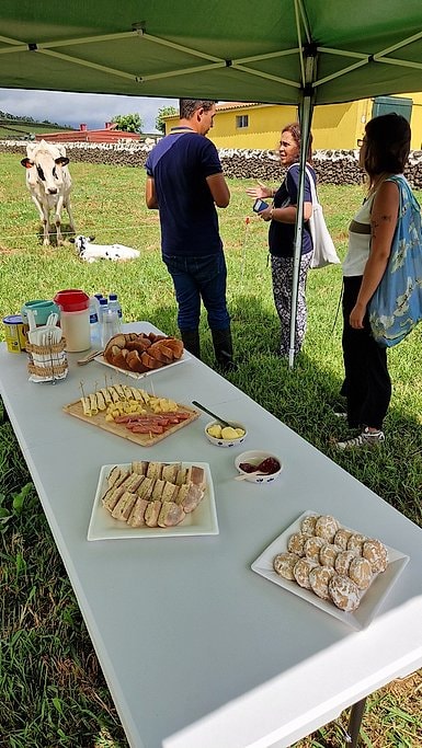 Azores Farm Tour With Traditional Lunch