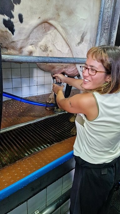Azores Farm Tour With Traditional Lunch
