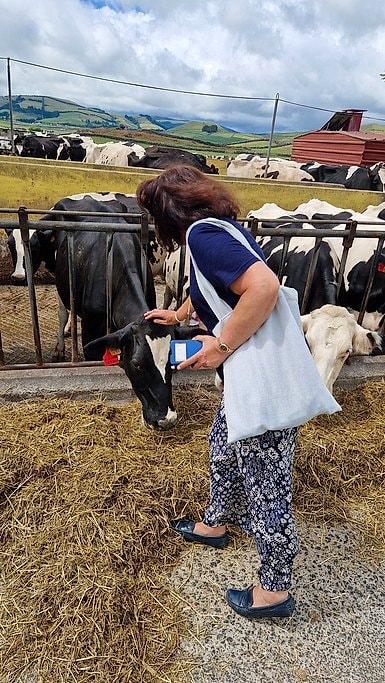 Azores Farm Tour With Traditional Lunch