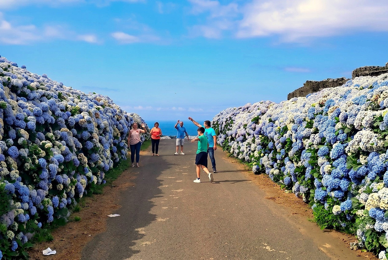 Azores Farm Tour With Traditional Lunch