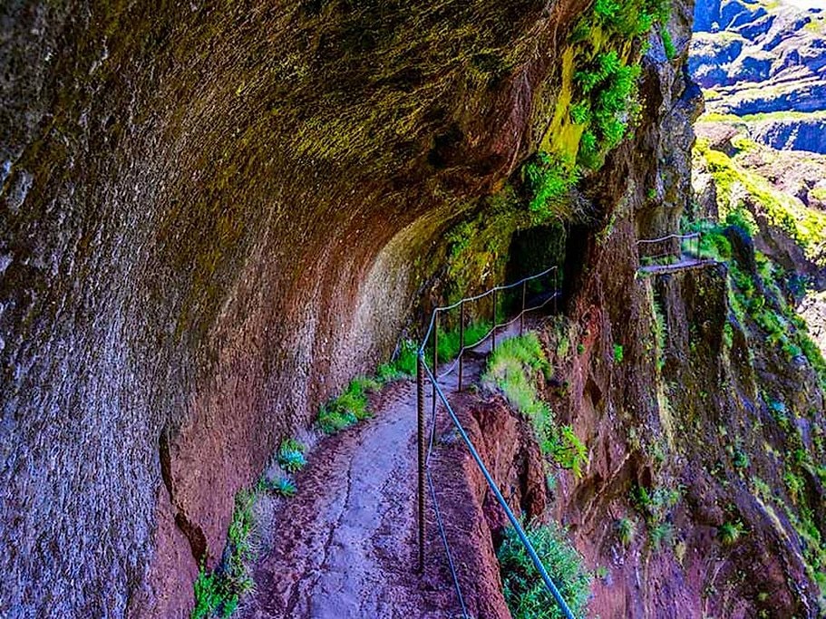 Madeira Full Day Hike to Pico Ruivo
