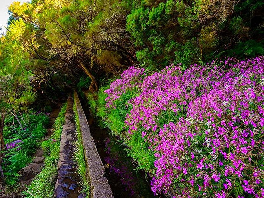 Rabaçal to 25 Fontes Guided Hike in Madeira