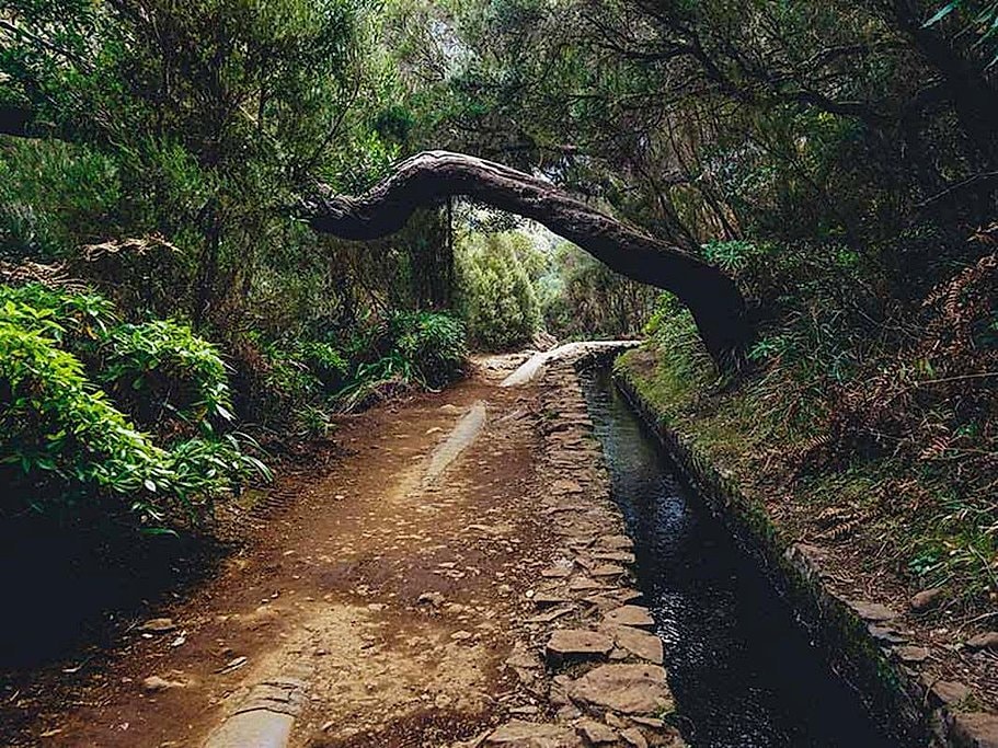 Rabaçal to 25 Fontes Guided Hike in Madeira