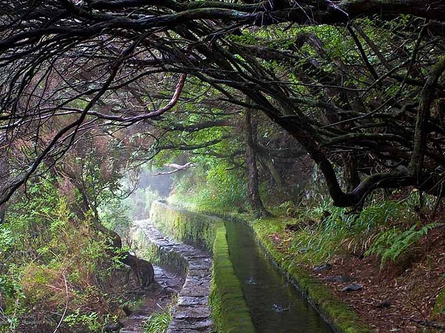 Rabaçal to 25 Fontes Guided Hike in Madeira