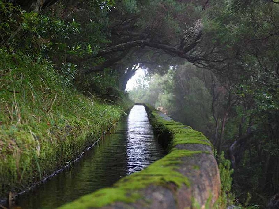 Rabaçal to 25 Fontes Guided Hike in Madeira