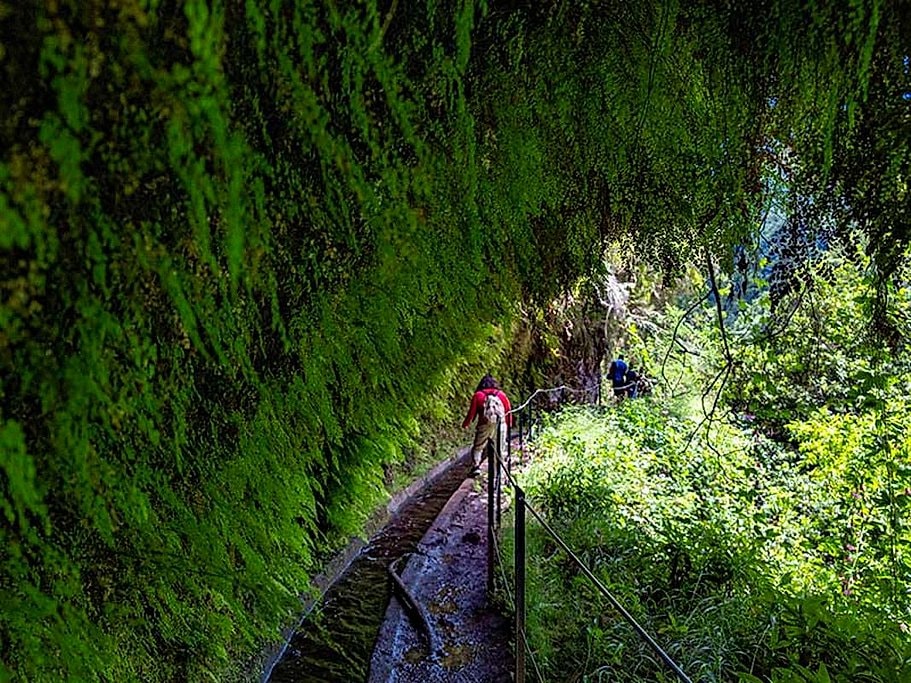 Levada do Rei Full Day Hike in Madeira