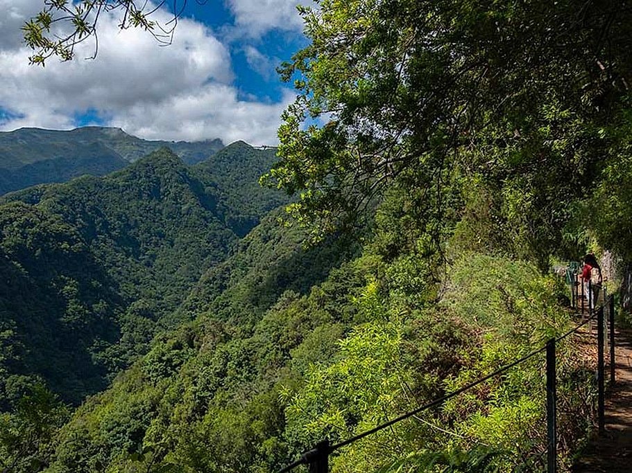 Levada do Rei Full Day Hike in Madeira