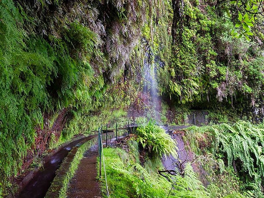 Levada do Rei Full Day Hike in Madeira