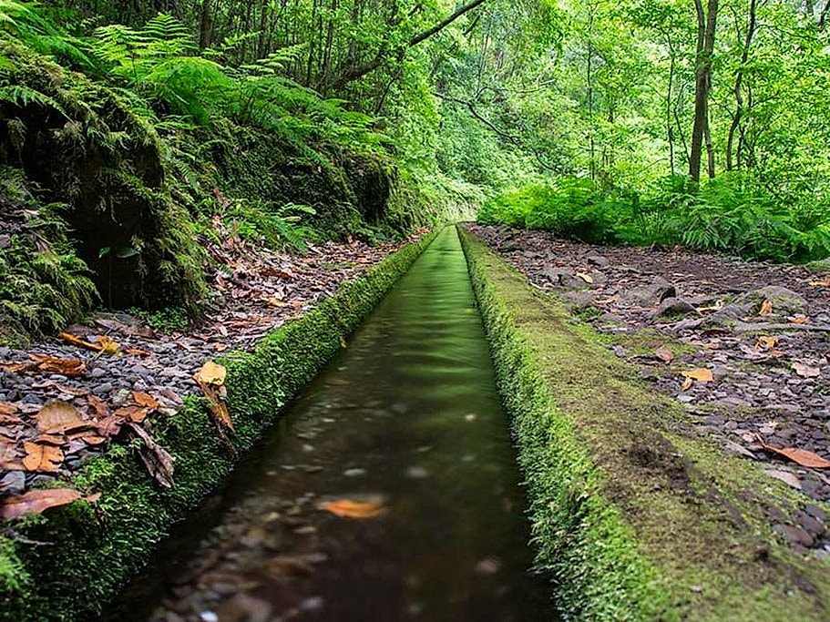 Levada do Rei Full Day Hike in Madeira